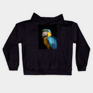 Blue and Gold Macaw Kids Hoodie